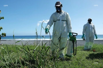 veille sanitaire au Port 