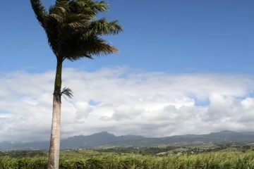 météo Réunion