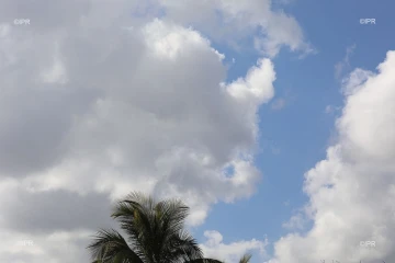 météo réunion 