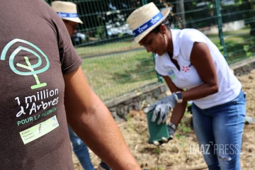 création micro-forêt Département EDF 