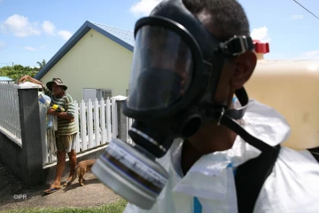 Chikungunya