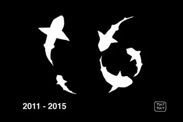 Caricature requin