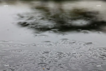 pluie 