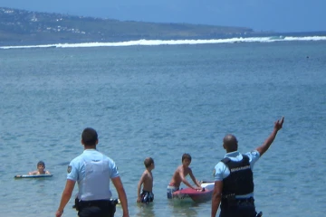 Requins lagon