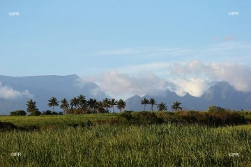 météo réunion 
