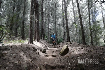 trail illustration 