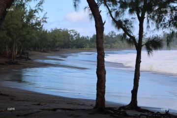 forte houle