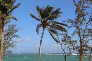 paysages 