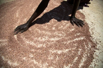 Dans le Soudan du Sud en mai 2017, une femme fait sécher de petites quantités de sorgho