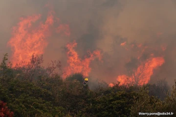 Incendies dans le Sud de la France (34)