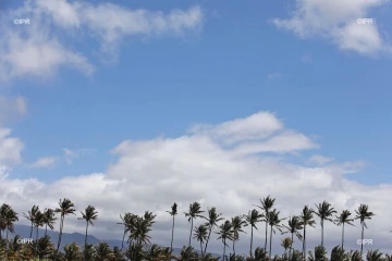 météo Réunion 