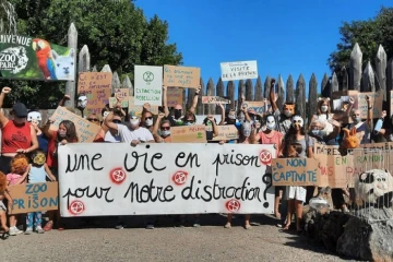 Action contre le zoo de l'Etang-Salé qui prévoit d'ouvrir prochainement ses portes