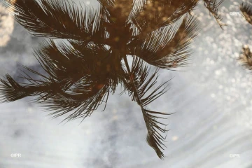 météo réunion 