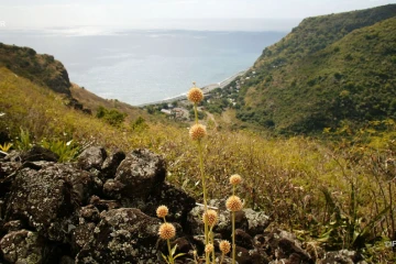 météo Réunion 