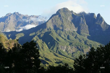 paysages 