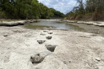 La sécheresse laisse apparaître des traces de dinosaures dans le lit d'une rivière texane