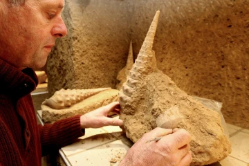 Patrice Legrand, viticulteur et propriétaire de la Cave aux coquillages, implantée dans le Parc naturel régional de la Montagne de Reims, à Fleury-la-Rivière, le 5 septembre 2016