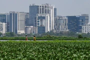 Les zones humides à l'est de Calcutta, le 21 mars 2023 en Inde