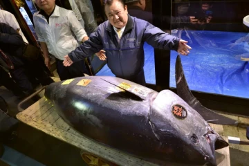Kiyoshi Kimura, patron d'une chaîne de restaurants au Japon, présente le thon rouge qu'il a acheté à un prix record de 2,7 millions d'euros à Tokyo, le 5 janvier 2019