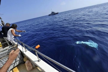 Lundi 24 Octobre 2011

Marquage de requin sur la côte ouest (photo pool/Emmanuel Grondin)