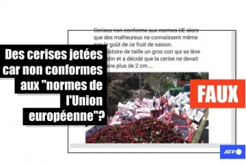   Non, les "normes de l'Union européenne" n'interdisent pas la vente de cerises de plus de 2 centimètres