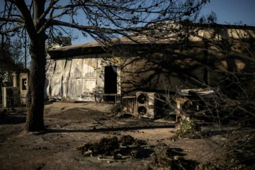 Un bouquet de fleurs devant l'usine dans laquelle est décédée une employée dans les violents incendies qui touchent, Chalandri,une ville de la banlieue nord-est d'Athènes  (Grèce), le 13 août 2024  