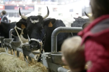Des visiteurs au Salon de l'Agriculture le 25 février 2017 à Paris