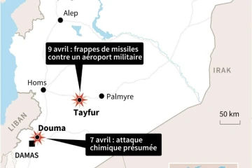 Frappes de missiles en Syrie