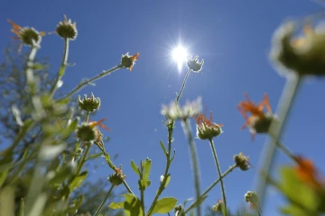 Il s'agit du quatorzième mois consécutif qu'un record mensuel de chaleur est battu sur la planète