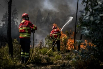 Des pompiers combattent un incendie de forêt à Carrascal, Proenca a Nova dans le centre du Portugal le 6 août 2023