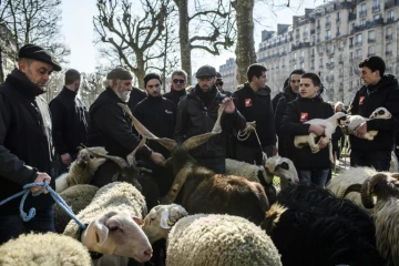 Des éleveurs lors d'une transhumance organisée en plein Paris, le 23 février 2018, à la veille de l'ouvertrure du salon de l'agriculture 
