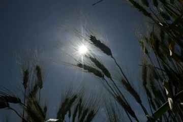 un nouvel épisode de canicule devrait toucher le sud de la France lundi avant de monter vers le nord mardi et mercredi