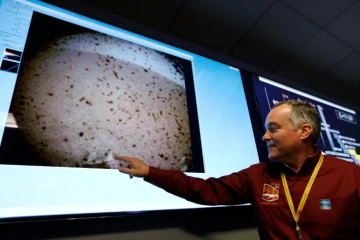 Tom Hoffman, chef du projet InSight, montre la première photo de Mars envoyée par la sonde le 26 novembre 2018