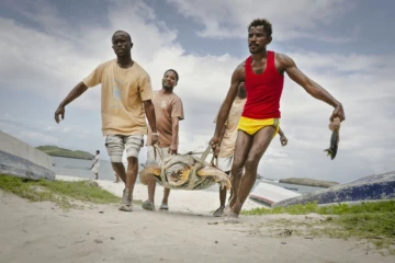 Des pêcheurs qui ont hameçonnée une tortue aident des membres de l'ONG Local Ocean Conservation (LOC) à la transporter vers le centre du LOC où elle sera soignée, le 22 mai 2025 à Watamu, au Kenya