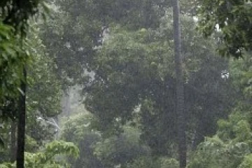 Mercredi 30 janvier 2008 -

De fortes pluies continuent de s'abattre sur La Réunion