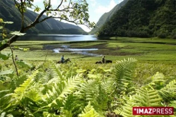 Randonnée à cheval à Grand-Etang dans les Hautes Plaines