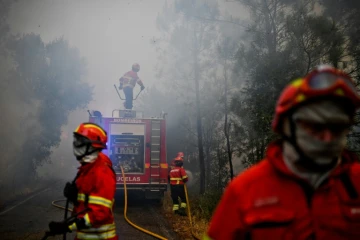 Des pompiers combattent des feux de forêt à Sardoal, au Portugal, le 17 août 2017