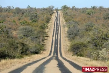 Parc Kruger (Afrique du Sud)