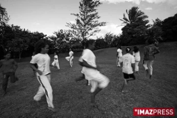 Moringue à Bagatelle dans l'est de l'île de la Réunion