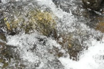 Cours d'eau