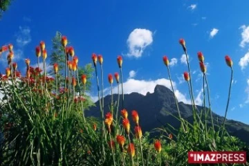 Paysage de la Reunion