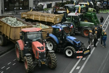 Des agriculteurs de la coordination rurale durant des manifestations contre l'accord UE-Mercosur, à Pessac, en Gironde, le 19 novembre 2024