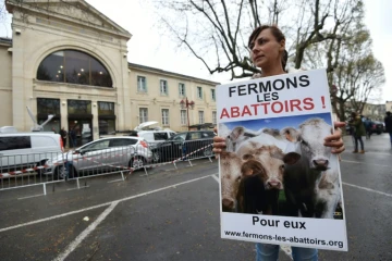 Manifestante réclamant la fermeture des abattoirs, le 23 mars 2017 à Alès