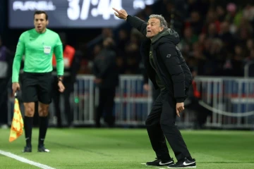 L'entraîneur du Paris SG Luis Enrique donne des consignes lors du match de Ligue 1 face à Lyon, le 21 avril 2024 à Paris