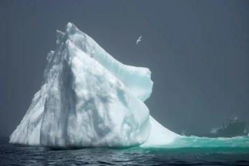 Un iceberg qui s'aventure plus loin dans les eaux canadiennes de la baie de Bonavista le 29 juin 2019 à Terre-Neuve
