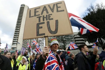 Manifestation pro-Brexit soutenue par l'Ukip (Parti pour l'indépendance du Royaume Uni) à Londres le 9 décembre 2018