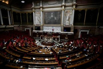 L'Assemblée nationale a adopté en deuxième lecture le projet de loi bioéthique et sa mesure phare de l'ouverture de la PMA à toutes les femmes