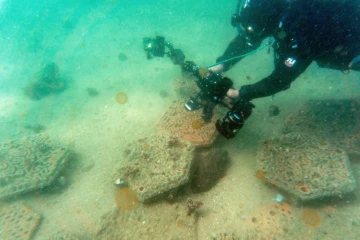 Un scientifique de l'université de Hong Kong observe une seiche protégeant ses oeufs, cachés à l'abri d'une dalle artificielle imprimée en 3D, dans les eaux du parc marin de Hoi Ha Wan à Hong Kong, le 2 février 2021