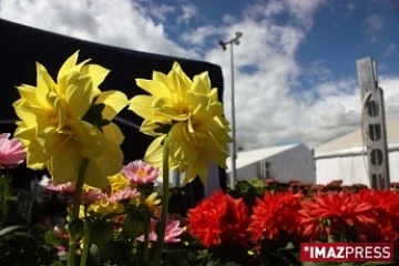 Édition 2009 de Flore et Halle à la halle des manifestations du Port