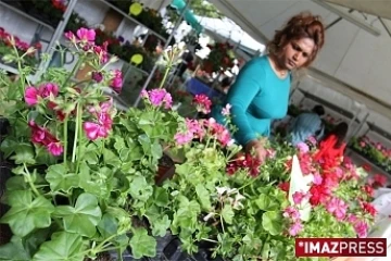 4ème édition du Festi-Plantes au Parc du Colosse à Saint-André (photo: Thomas Vitry)